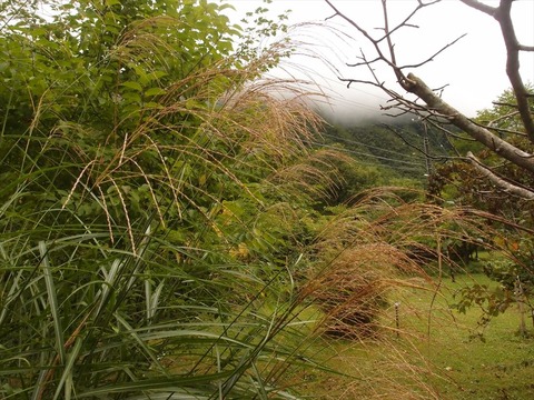 P9120246_R