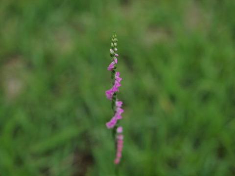 P7285038_R