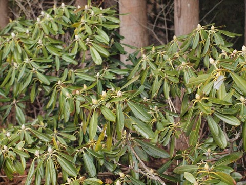 P3250298_R
