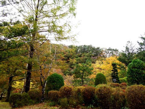 DSCF9043_R