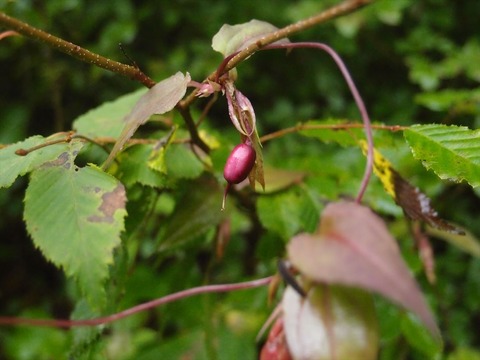 P9120297_R