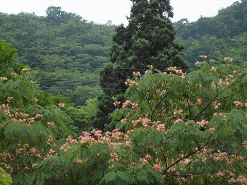 P7285050_R