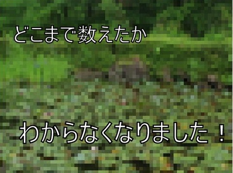 モザ