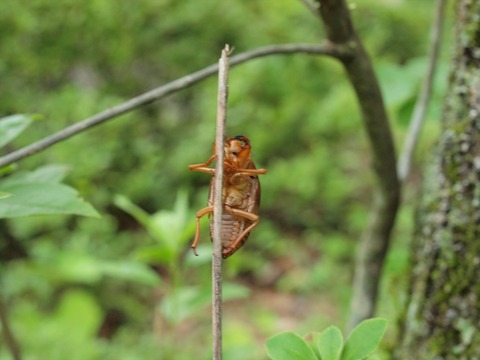 P7285003_R