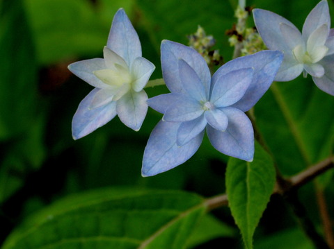 P6144873