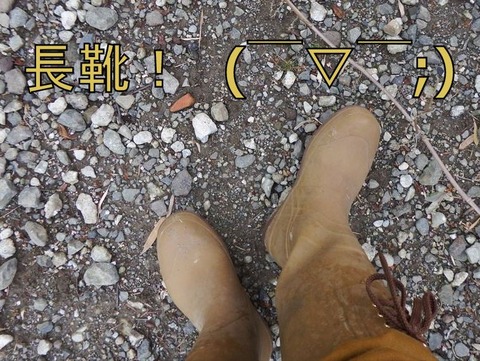 DSCF8206_R
