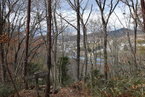 DSC_0073 (800x533)