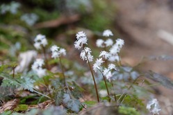 DSC_0053 (1280x853)