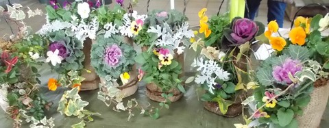 DSCN2634