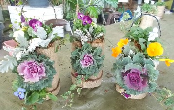 DSCN2632