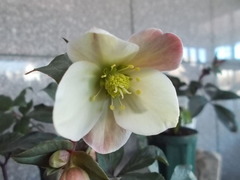 DSCN2756