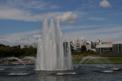 DSC_7171