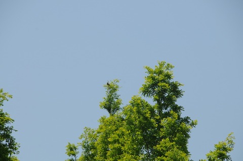 DSC_8055
