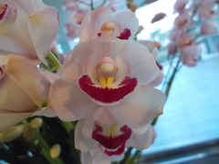 DSCN2776