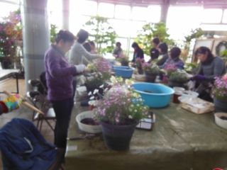 DSCN3439
