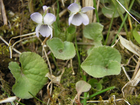 P3180305