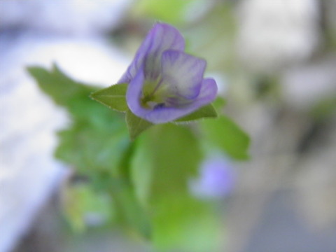 P1280213