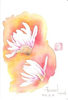 20170315105257_00001