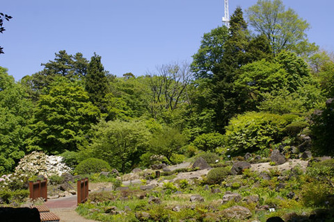 高山区遠景①
