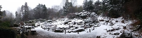 DSCF1407