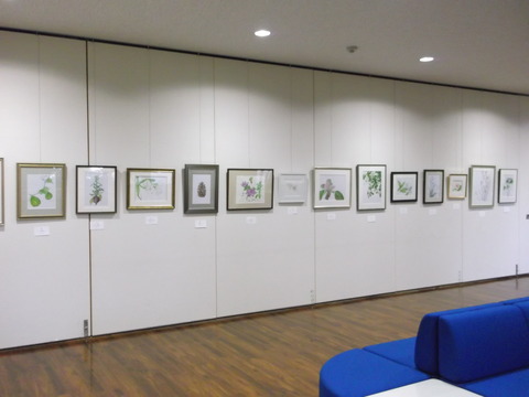 DSCF1459
