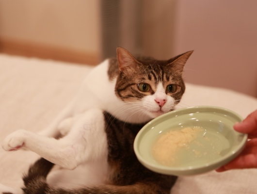 スープきた～。