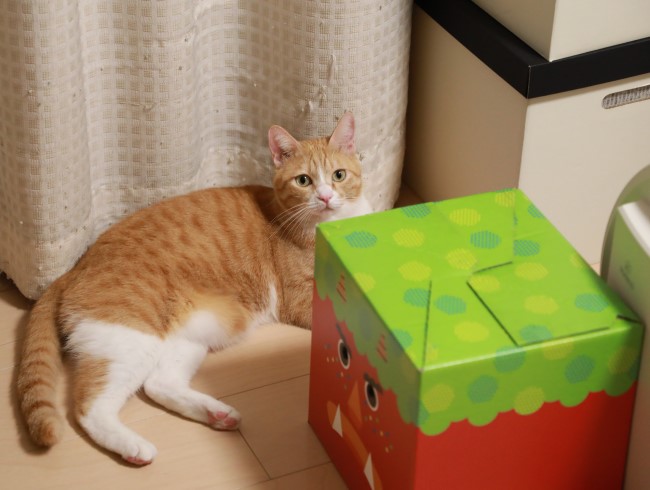 むむぅ。 むむぅ。