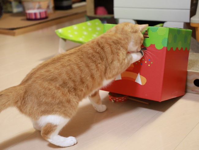 あとちょっと! あとちょっと!