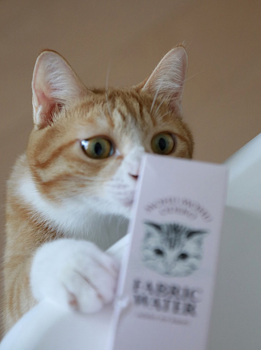 ぬーっ。 ぬーっ。