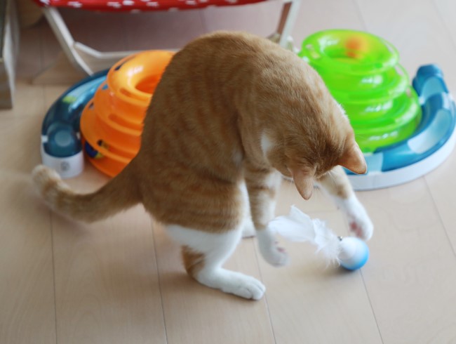 �भ���á�