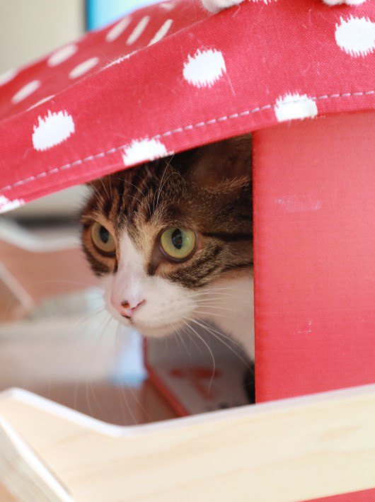 戻るの早すぎー。 戻るの早すぎー。