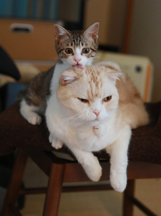 ¤¶¡¼¤ê¤¶¡¼¤ê¡£ ¤¶¡¼¤ê¤¶¡¼¤ê¡£