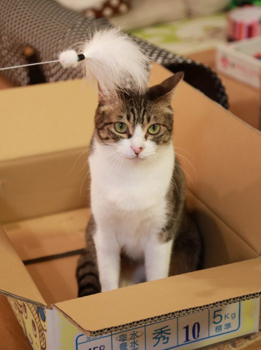 もういい。 もういい。