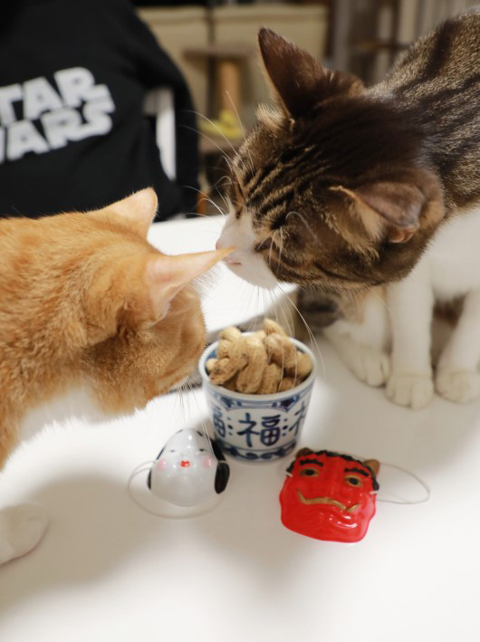 アミが先だもん。