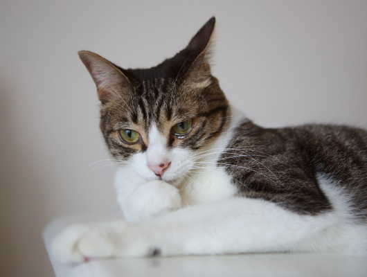 緊張しちゃった。