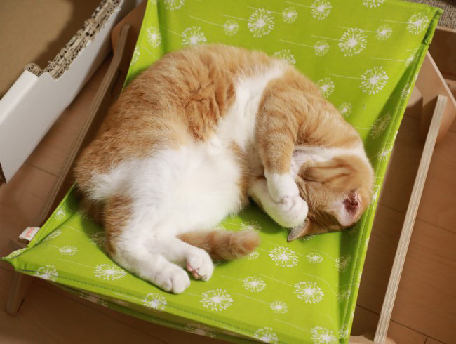 �ޤ֤�������