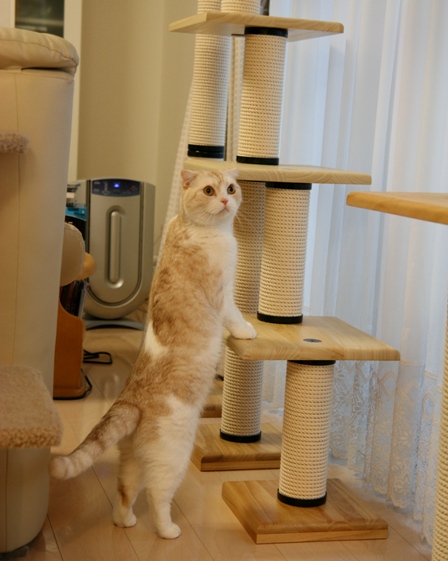 �����衣