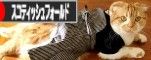 �ˤۤ�֥���¼��ǭ�֥����������ƥ��å���ե�����ɤ�