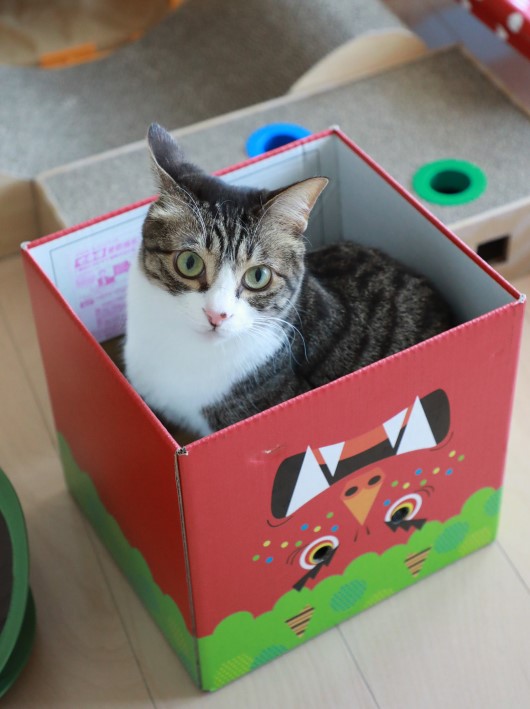 ユウが来ないか耳ぴくぴく。