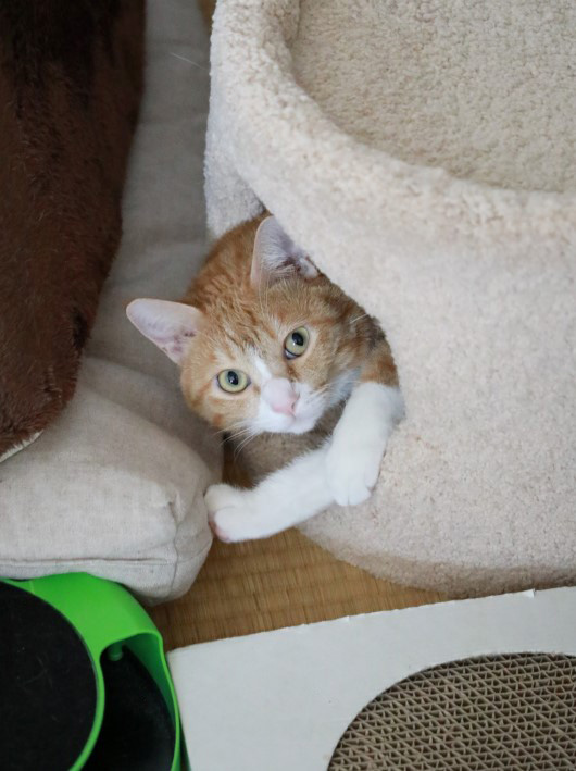 ¤³¤³¤Ç¤¹¤è¡£ ¤³¤³¤Ç¤¹¤è¡£