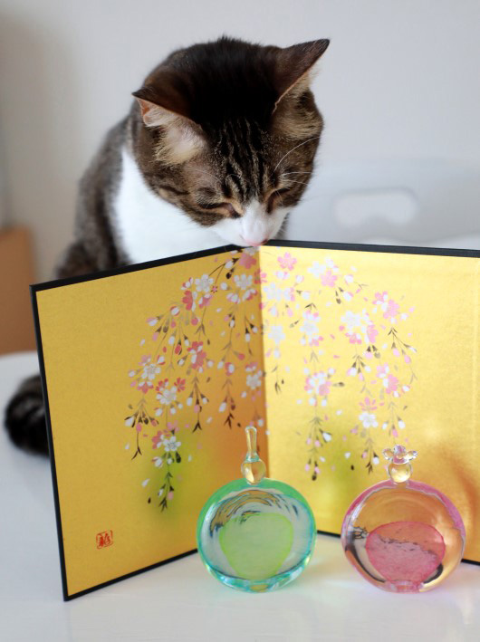 ひさしぶり~。 ひさしぶり~。