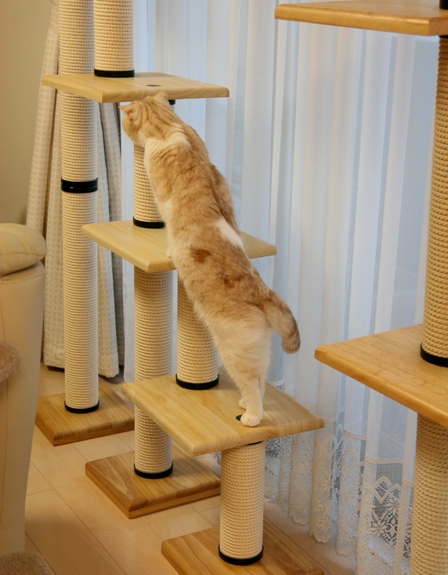 �ۤäۤ���