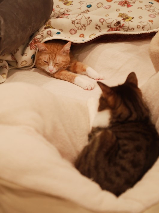 ちょっと暑いかもー。 ちょっと暑いかもー。