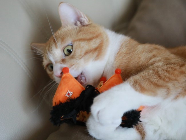 ざーりざーり。 ざーりざーり。