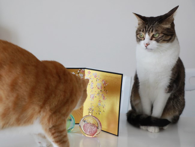 お待たせー。 お待たせー。