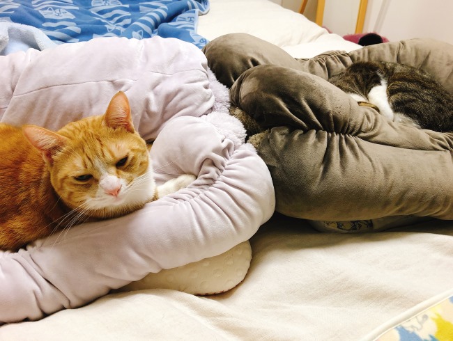 �Ť����ơ���