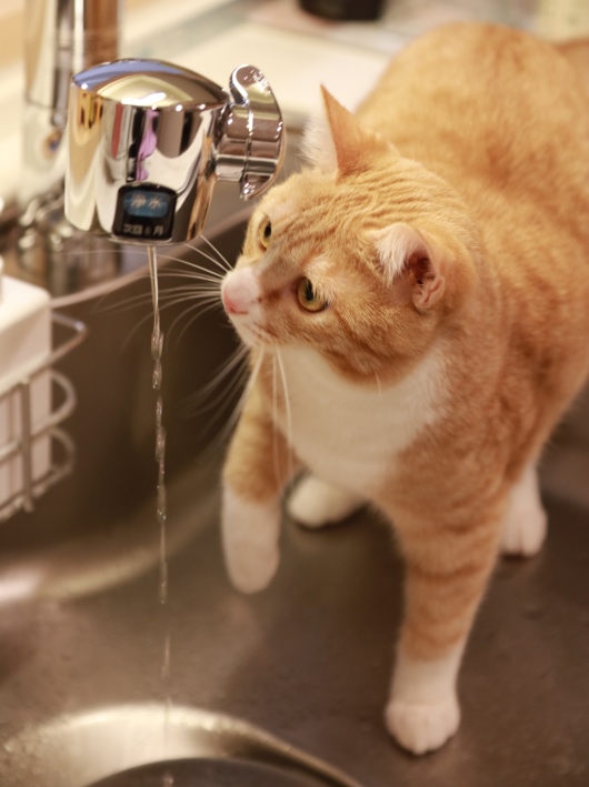 えーっと・・・ えーっと・・・