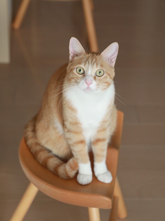 ほめられた！？