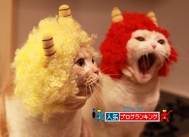 クリックでミミオレに投票。 クリックでミミオレに投票。