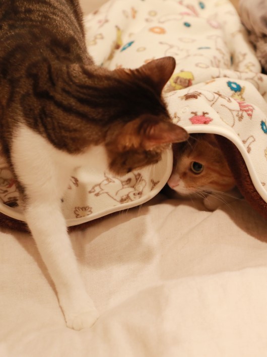 ねぼすけねー。